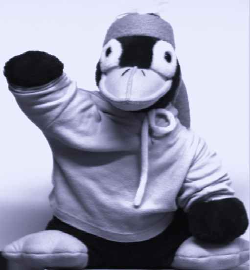Bild von meinem
Maskottchen Sunny